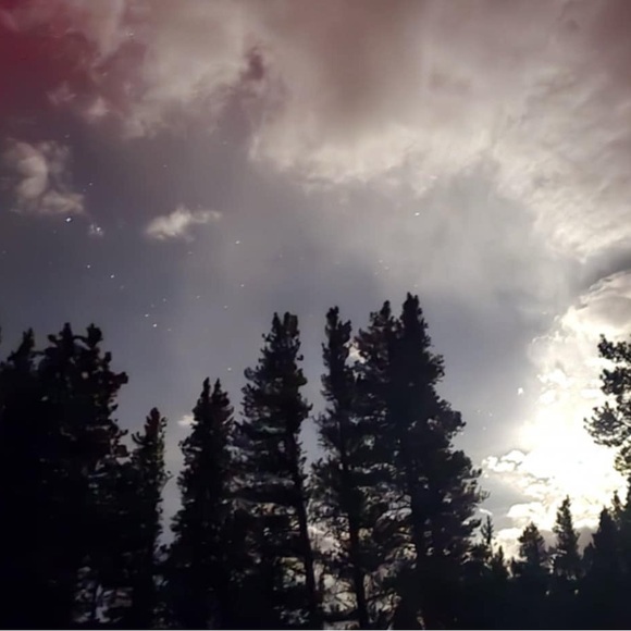 Meet your Posher, Rivka - Picture 2 of 4